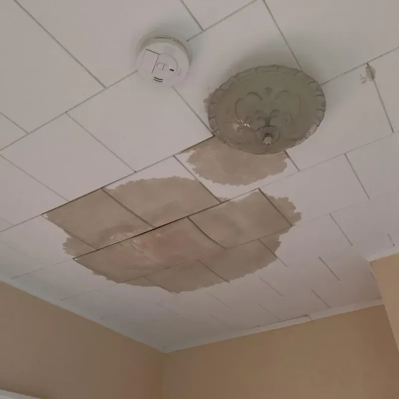 Ceiling Water Damage Repair in Mercer County, NJ