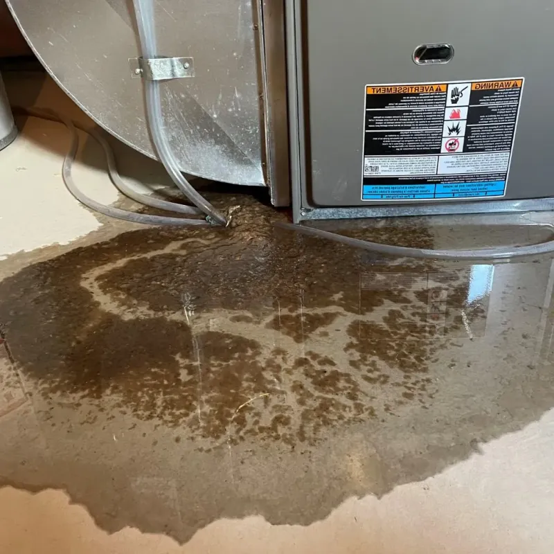 Pipe Burst and Leak Restoration in Mercer County, NJ