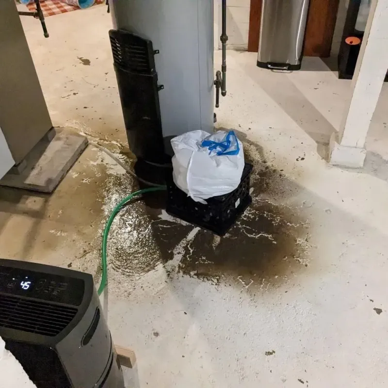 Sewage Backup Cleanup Service in Mercer County, NJ